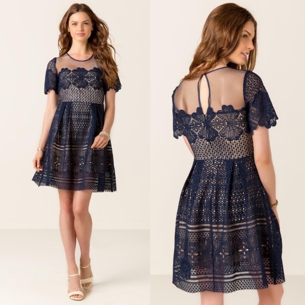 Francesca’s Ayla Kandyce Indigo Lace Dress